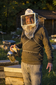 France, Herault, the Causses and the Cevennes, Mediterranean agro pastoral cultural landscape, listed as World Heritage by UNESCO, La Vacquerie et Saint Martin de Castries, guest house Les Faïsses, Jean-Louis Perez is also a beekeeper