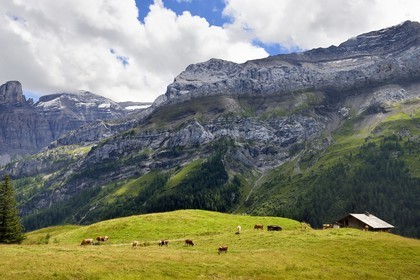 Switzerland, Canton of Vaud, Ormont-Dessus, Les Diablerets, farm to the Lake Retaud above the Col du Pillon and the Schluchhorn mountain in the background