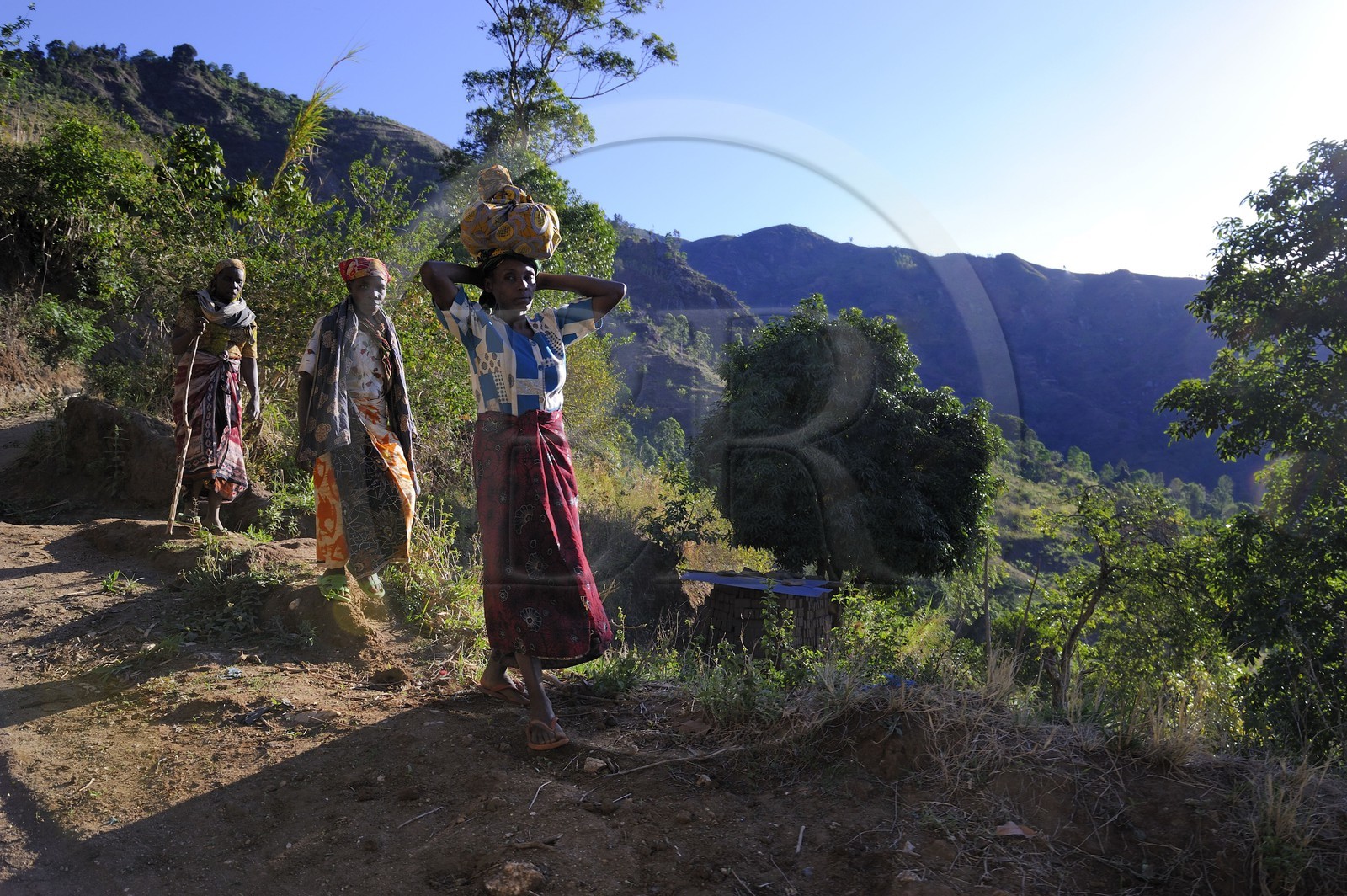 Tanzanie, région de Morogoro, les Monts Uluguru, trois femmes descendant la montagne aux alentours de l'ancien refuge allemand de Morningside Tanzanie, région de Morogoro, les Monts Uluguru, trois femmes descendant la montagne aux alentours de l'ancien refuge allemand de Morningside