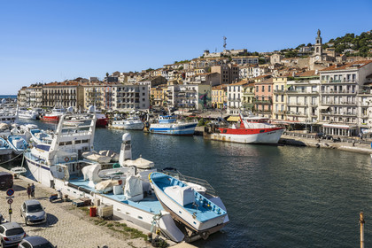 France, Hérault (34), Sète, canal Royal, thoniers senneurs à quai au pied du Mont Saint-Clair et de l'église décanale saint Louis surmontée par une statue de la Vierge Marie