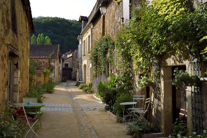 France, Dordogne (24), Périgord Vert, Saint-Jean-de-Côle, labellisé Les Plus Beaux Villages de France, ruelle du village