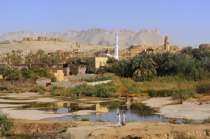 Egypte, Haute Egypte, désert libyque, oasis de Dakhla, vieux village de Al-Qasr
