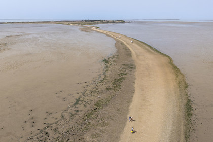 France, Charente Maritime, Port-des-Barques, Port-des-Barques, the tombolo of Passe aux Boeufs which connects the continent to Ile Madame (aerial view)