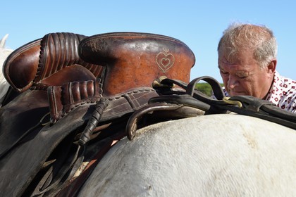 France, Bouches du Rhone, Parc naturel regional de Camargue (Regional Natural Park of Camargue), around Malagroy pond, manadier Jacques Mailhan, Jacques Mailhan, breeder of Camargue horses and bulls