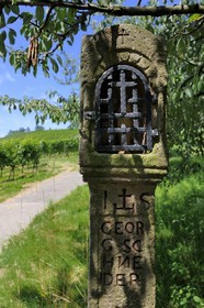 Allemagne, Forêt Noire, Schwartzwald, Bade-Würtemberg, petit oratoire dans les vignes