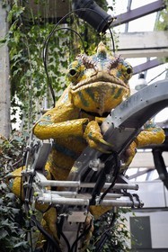 France, Loire-Atlantique, Nantes, gallery of the Machines de l'Ile in the hangars of former shipyards, an artistic project created by François Delaroziere and Pierre Orefice, the Mechanical Chameleon