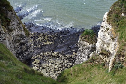 France, Seine-Maritime (76), Pays de Caux, Côte d'Albâtre, entre Etretat et Yport, la falaise vers Bénouville et la plage à marée basse