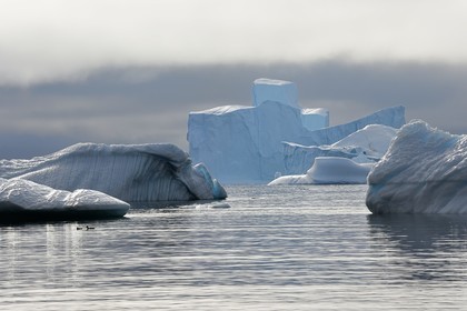 Greenland, west coast, Disko Island, Qeqertarsuaq village bay, icebergs in the mist