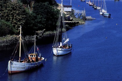 France, Finistère (29), Douarnenez, bateaux ancrés dans le port