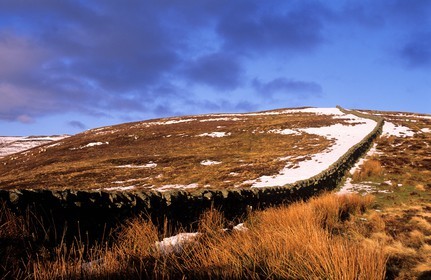 United Kingdom, Scotland, Borders, Selkirkshire, Ettrickbridge, stone wall on the hill