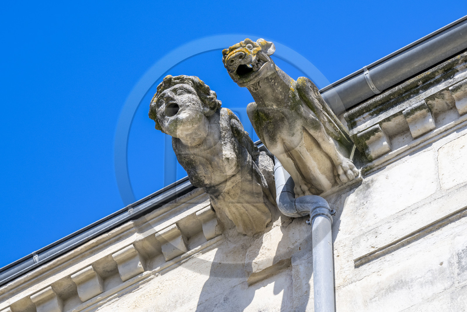 France, Charente-Maritime (17), La Rochelle, gargouilles au sommet d'immeubles de la rue Chef de Ville