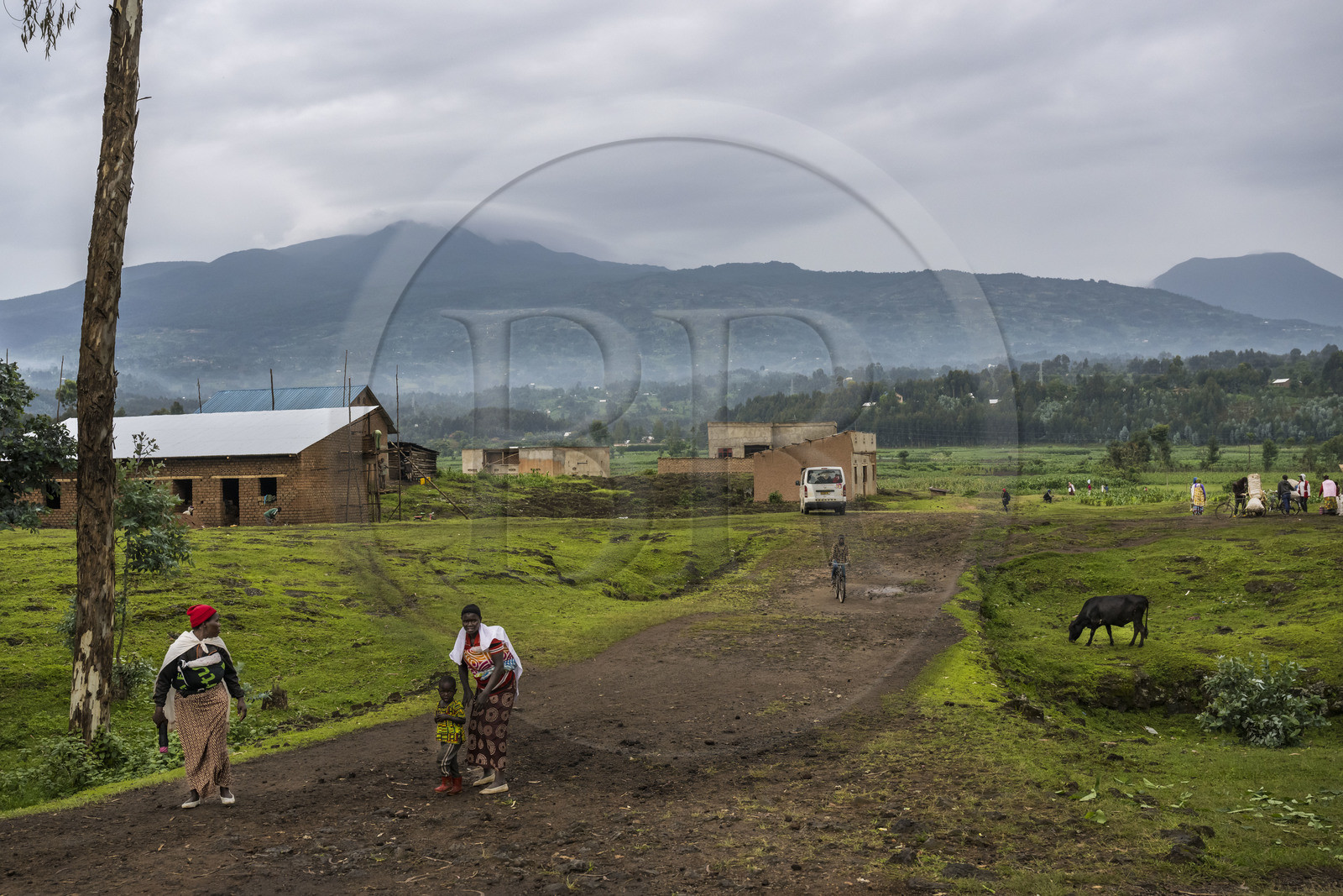 Rwanda, Province du Nord, District de Musanze (Ruhengeri), Rusanze, le mont Karisimbi dans les montagnes des Virunga où vivent les gorilles