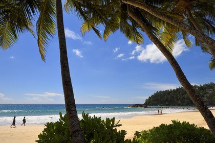 Sri Lanka, Southern Province, Weligama, Mirissa Beach,