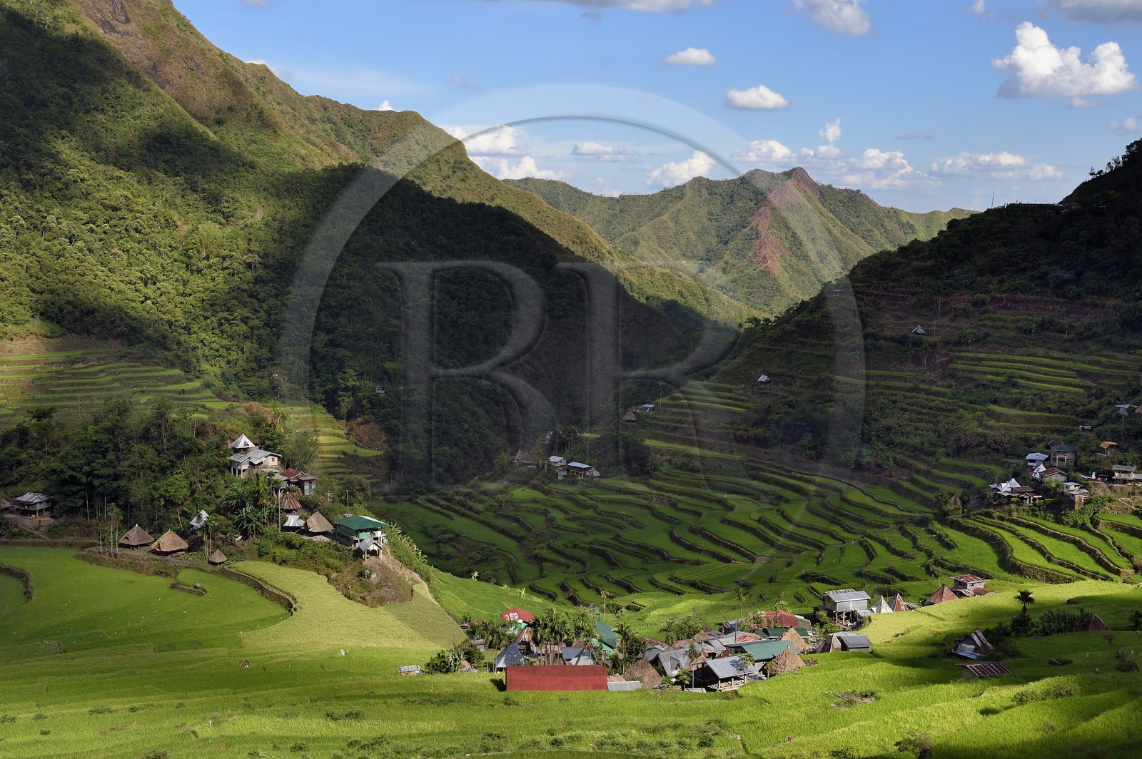 Philippines, province d'Ifugao, les rizières en terrasses de Banaue autour du village de Batad, classées Patrimoine Mondial de l'UNESCO, alimentées par un ancien système d'irrigation depuis la forêt tropicale au-dessus des terrasses