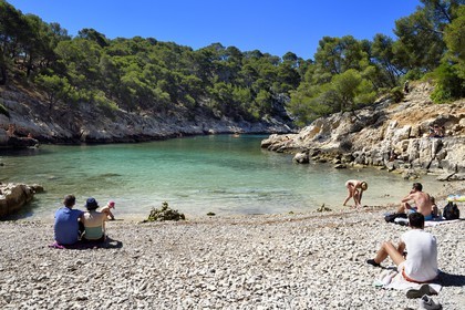 France, Bouches du Rhone, Marseille, National Park of the Calanques, Calanque de Port Pin (cove) beach (request for authorization necessary before publication)