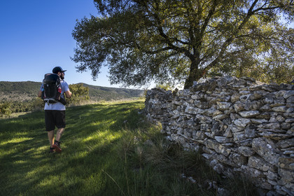 France, Herault, the Causses and the Cevennes, Mediterranean agro pastoral cultural landscape, listed as World Heritage by UNESCO, Saint Maurice Navacelles, hiker on the GR 7 on paths along dry stone walls