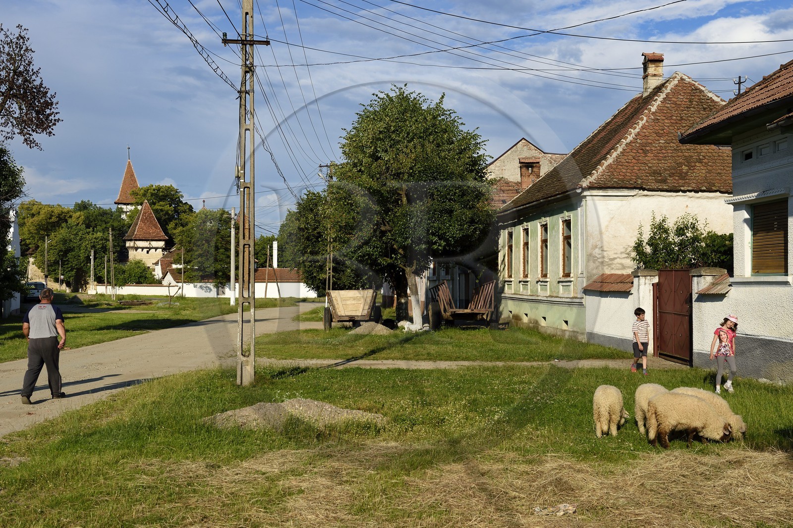 Roumanie, Transylvanie, le village de Cincsor et l'église fortifiée du XIIIème siècle en arrière plan