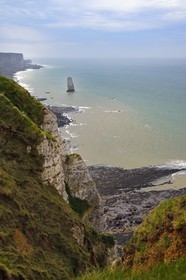 France, Seine-Maritime (76), Pays de Caux, Côte d'Albâtre, entre Etretat et Yport, aiguille de Belval et falaise à marée basse
