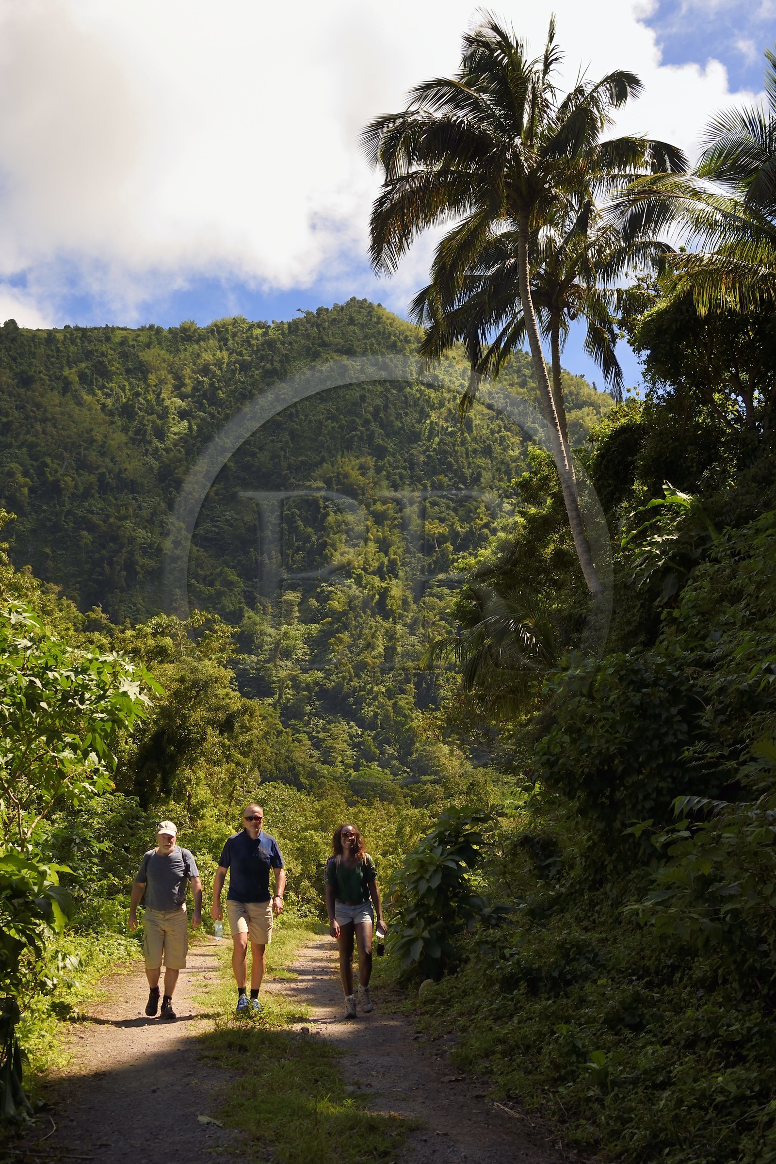 Caraïbes, Ile de la Dominique,