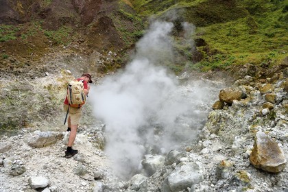 Caraïbes, Ile de la Dominique, Castle Bruce, Parc national du Morne Trois Pitons classé Patrimoine Mondial de l'UNESCO, la Vallée de la Désolation avec fumerolles et sources d'eau chaude, randonnée sur le sentier menant au Boiling Lake