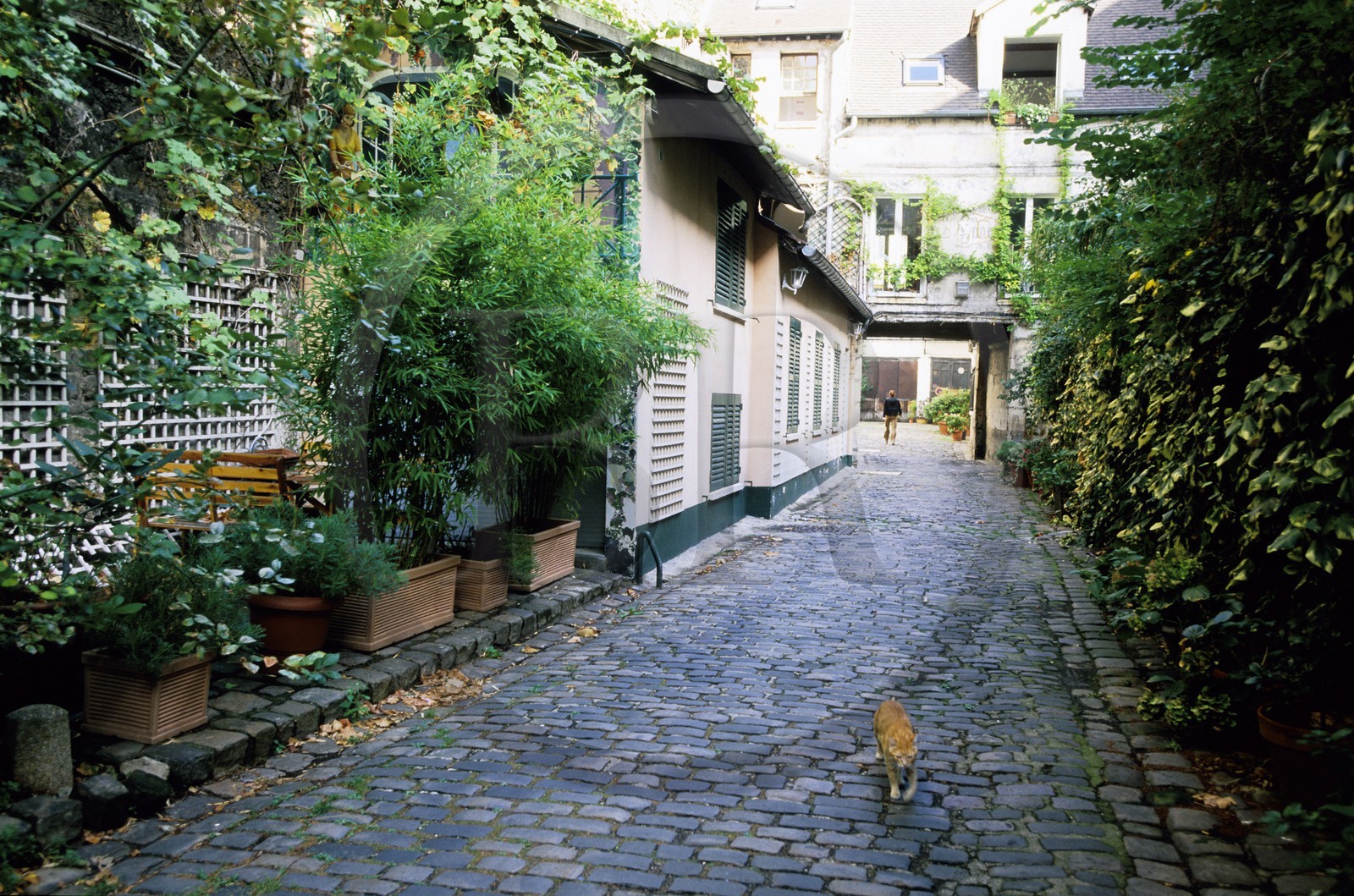 France, Paris (75), passage du faubourg Saint-Antoine