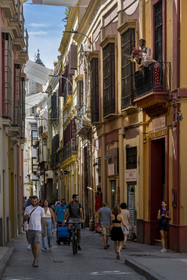 Espagne, Andalousie, Séville, la rue abritée du soleil calle Cuna dans la vieille ville, la casa de la memoria flamenco show à droite