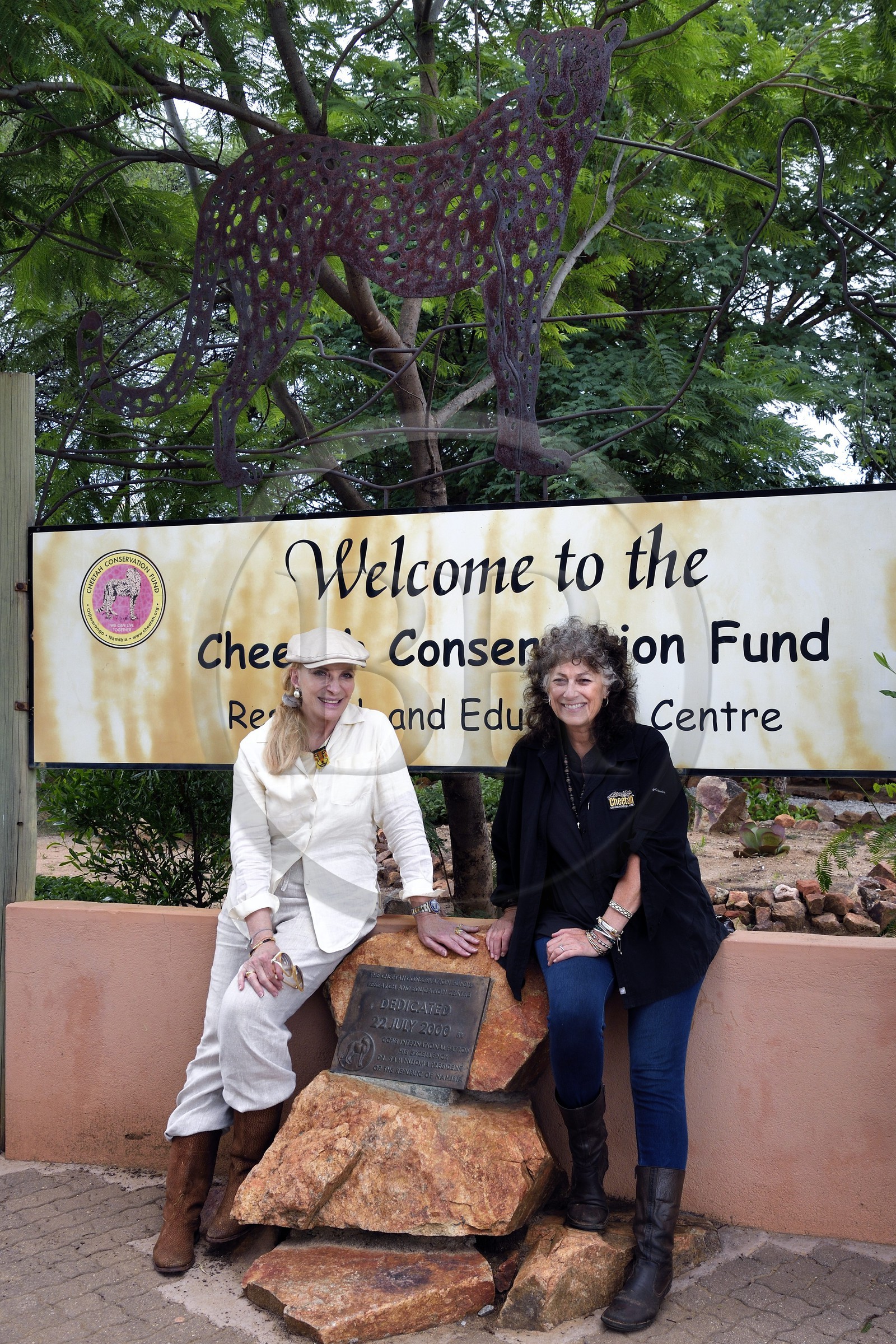 Namibie, Otjiwarongo, Cheetah Conservation Fund, centre de recherche et d'éducation, Dr Laurie Marker fondatrice et directrice exécutive du CCF fondé en 1990 à droite en compagnie de la princesse Michael de Kent Marie-Christine von Reibnitz à gauche