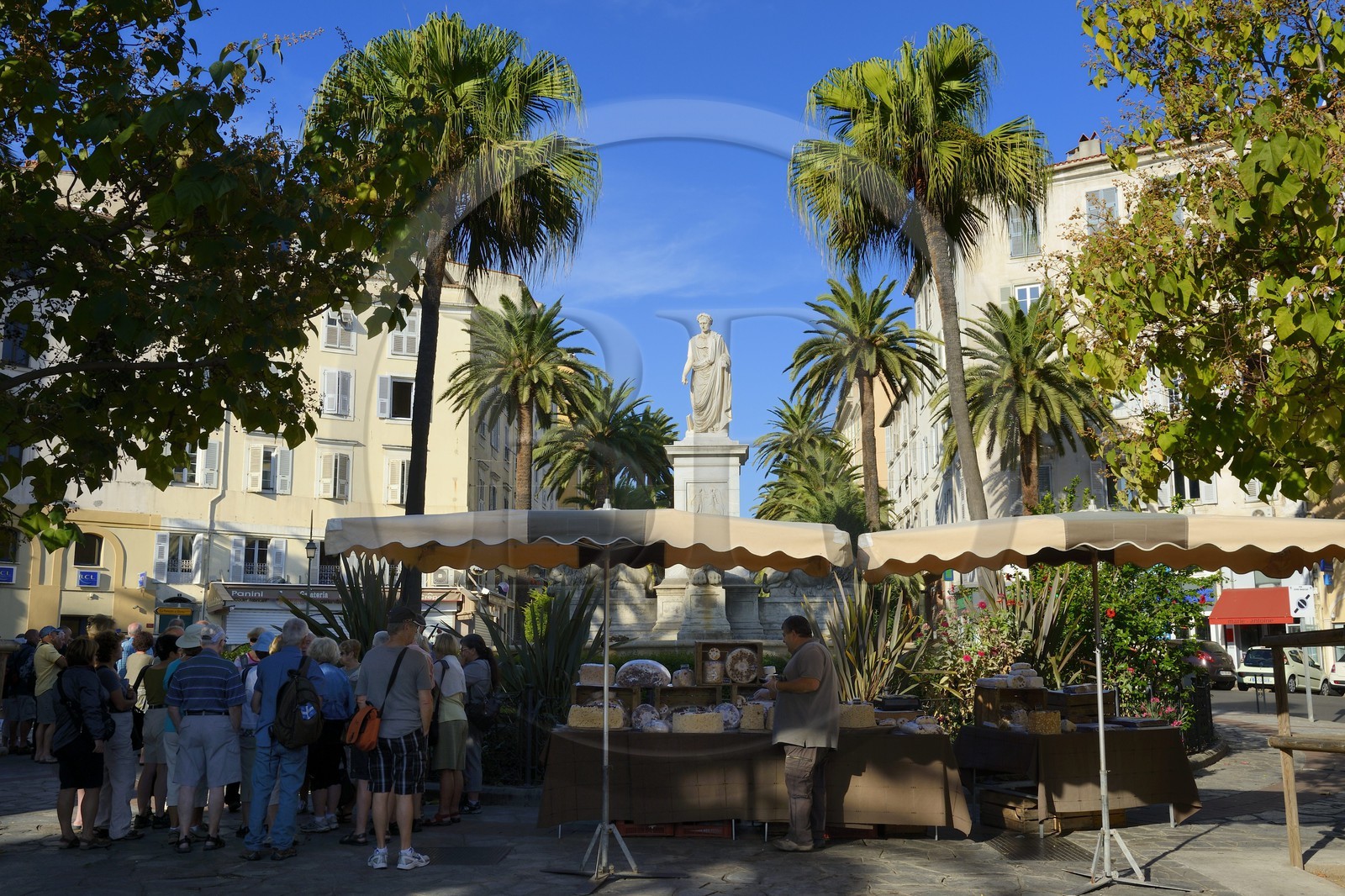 France, Corse-du-Sud (2A), Ajaccio, place du Maréchal Foch (Place des Palmiers), la statue de Napoléon Bonaparte en consul romain oeuvre du sculpteur Massimiliano Laboureur