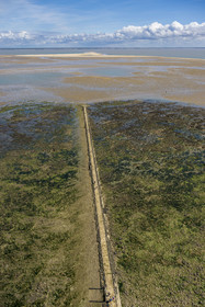 France, Gironde, Verdon sur Mer, view of the rocky plateau of Cordouan from the top of the Cordouan lighthouse, listed as World Heritage by UNESCO, the stone pavement called peyrat