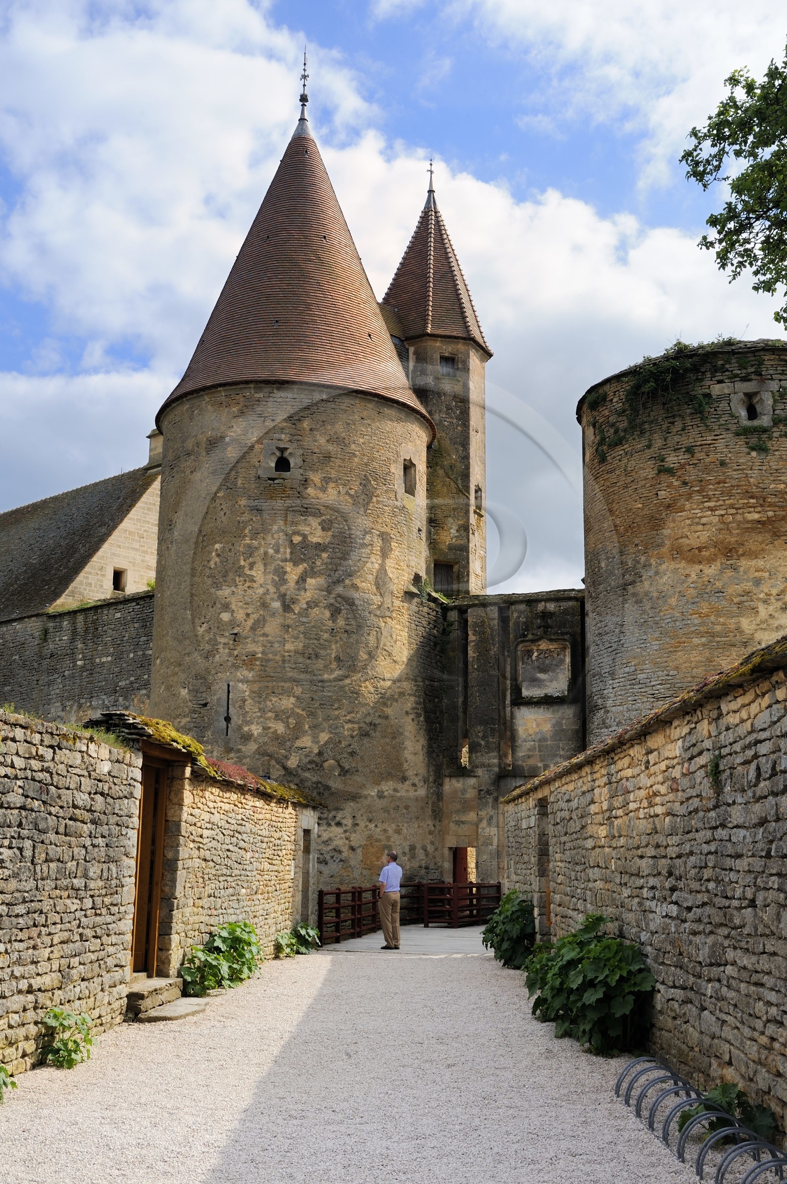 France, Côte d'Or (21), Châteauneuf-en Auxois, labellisé Les Plus Beaux Villages de France, le château