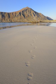 Norway, Nordland County, Lofoten Islands, Flakstadoy Island, Ramberg white sand beach