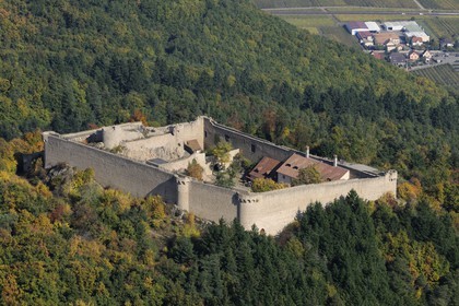 France, Haut Rhin, Hohlandsbourg Castle in the Vosges Massif on the heights of Eguisheim, with its surrounding walls (aerial view)