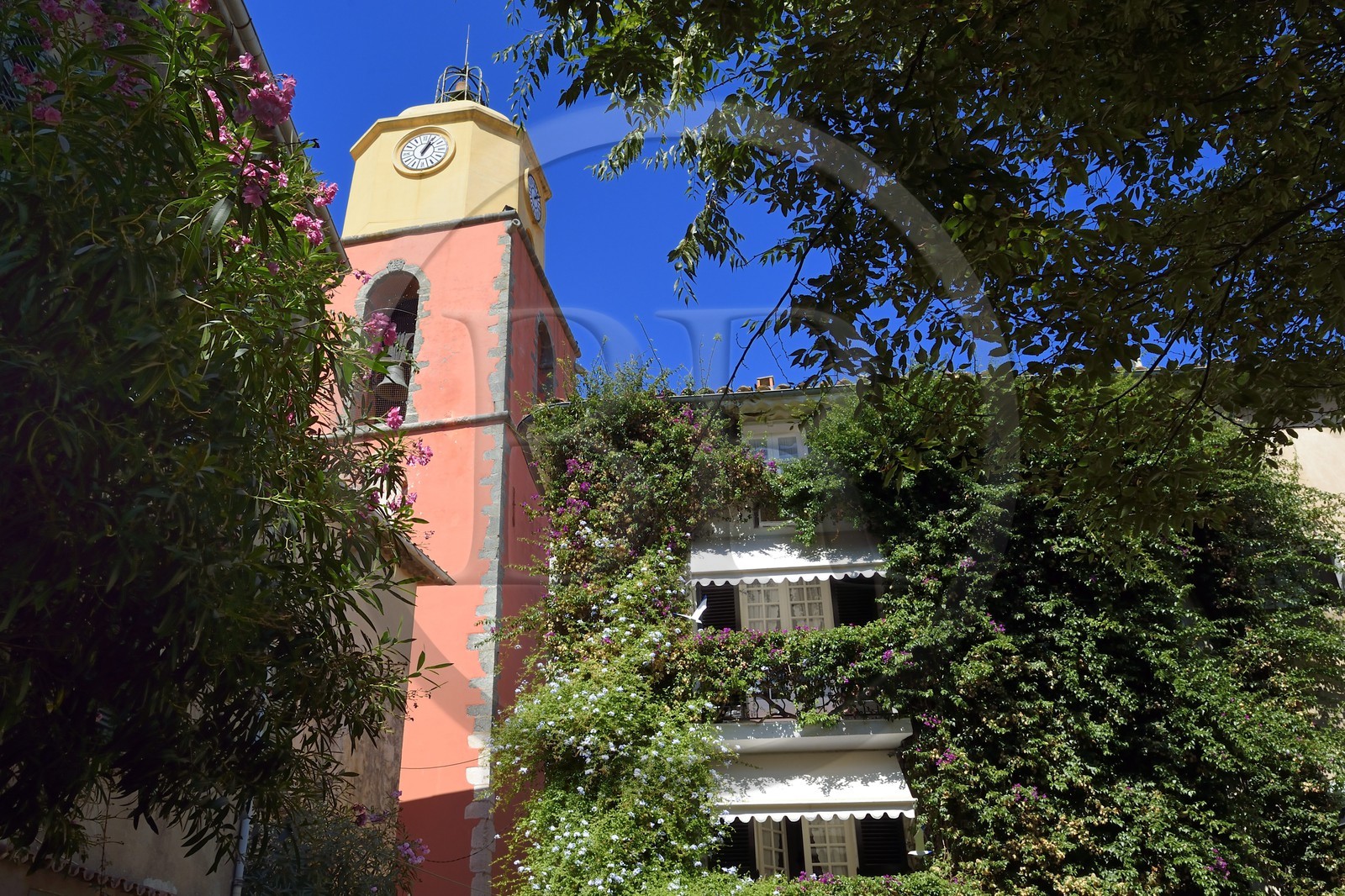 France, Var (83), Saint-Tropez, place de l'Ormeau, église paroissiale Notre-Dame de l'Assomption