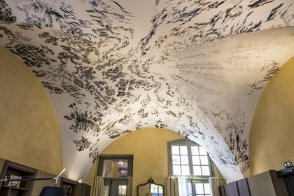 France, Hérault (34), Montpellier, centre historique appelé l’Ecusson, Hotel Richer de Belleval, sur le plafond, Prima Materia (2020) fresque à l'encre de chine de l'artiste Abdelkader Benchamma pour la Fondation d’entreprise GGL