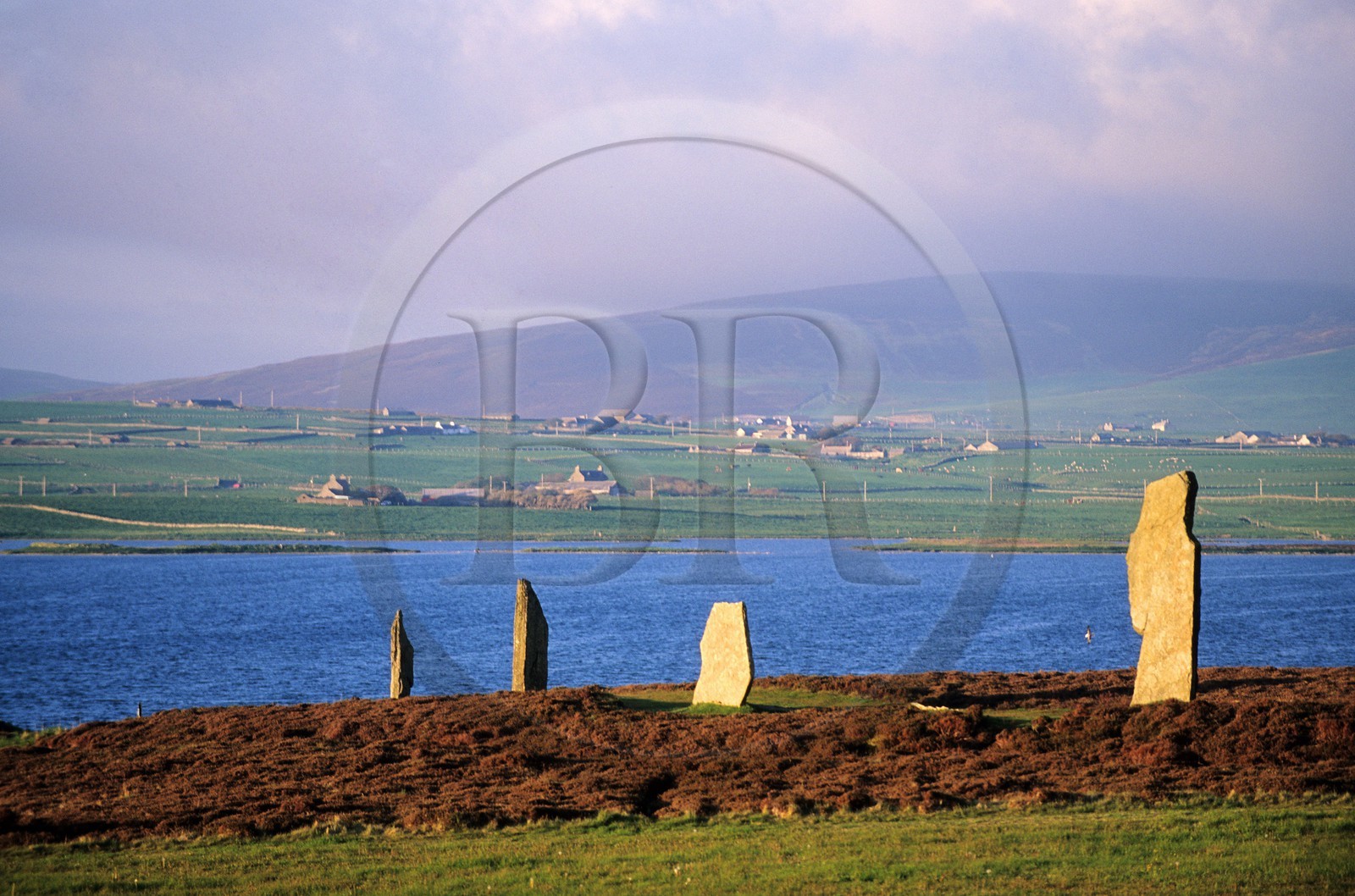 Royaume-Uni, Ecosse, îles Orcades, Mainland, au bord du Loch of Stenness, pierres levées du Ring of Brogar, classées Patrimoine Mondial de l' UNESCO