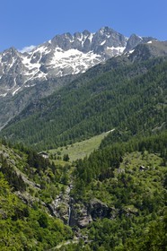 France, Alpes-Maritimes, parc national du Mercantour ( Mercantour national park), Haute-Vesubie, Gordolasque valley,