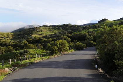 France, île de la Réunion, Piton de la Fournaise, classé Patrimoine Mondial de l'UNESCO, route forestière du Volcan sur les pentes du volcan