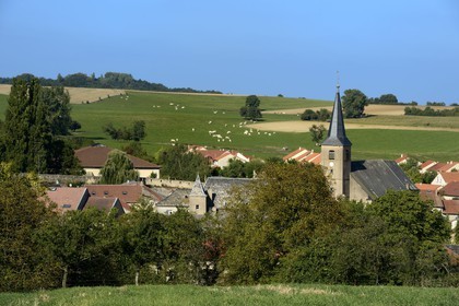 France, Moselle, Rodemack, labelled Les Plus Beaux Villages de France (The Most Beautiful Villages of France)