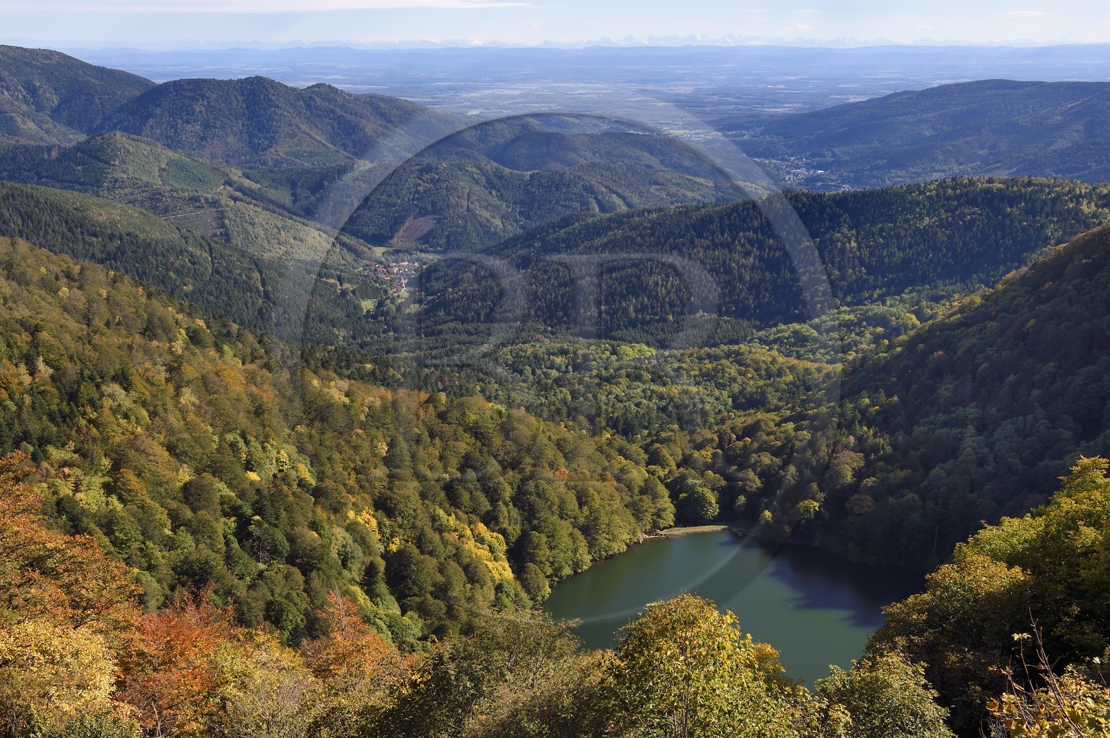 France, Vosges (88), Parc naturel régional des ballons des Vosges, Saint-Maurice-sur-Moselle, le Lac des Perches en dessous de Gazon Rouge, le village de Rimbach-près-Masevaux dans le Haut-Rhin, la plaine d'Alsace et les Alpes en arrière plan