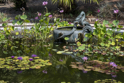 France, Alpes-Maritimes, Menton, district of Garavan, Maria Serena garden, the Dragon Fountain basin (ancient Japanese fountain that belonged to a shogun)