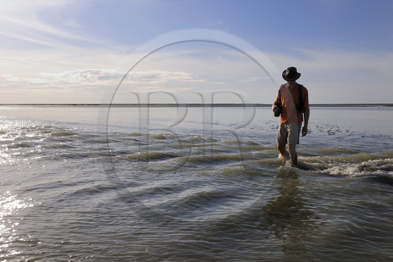 France, Manche, crossing by walking of the Bay of Mont Saint Michel, listed as World Heritage by UNESCO