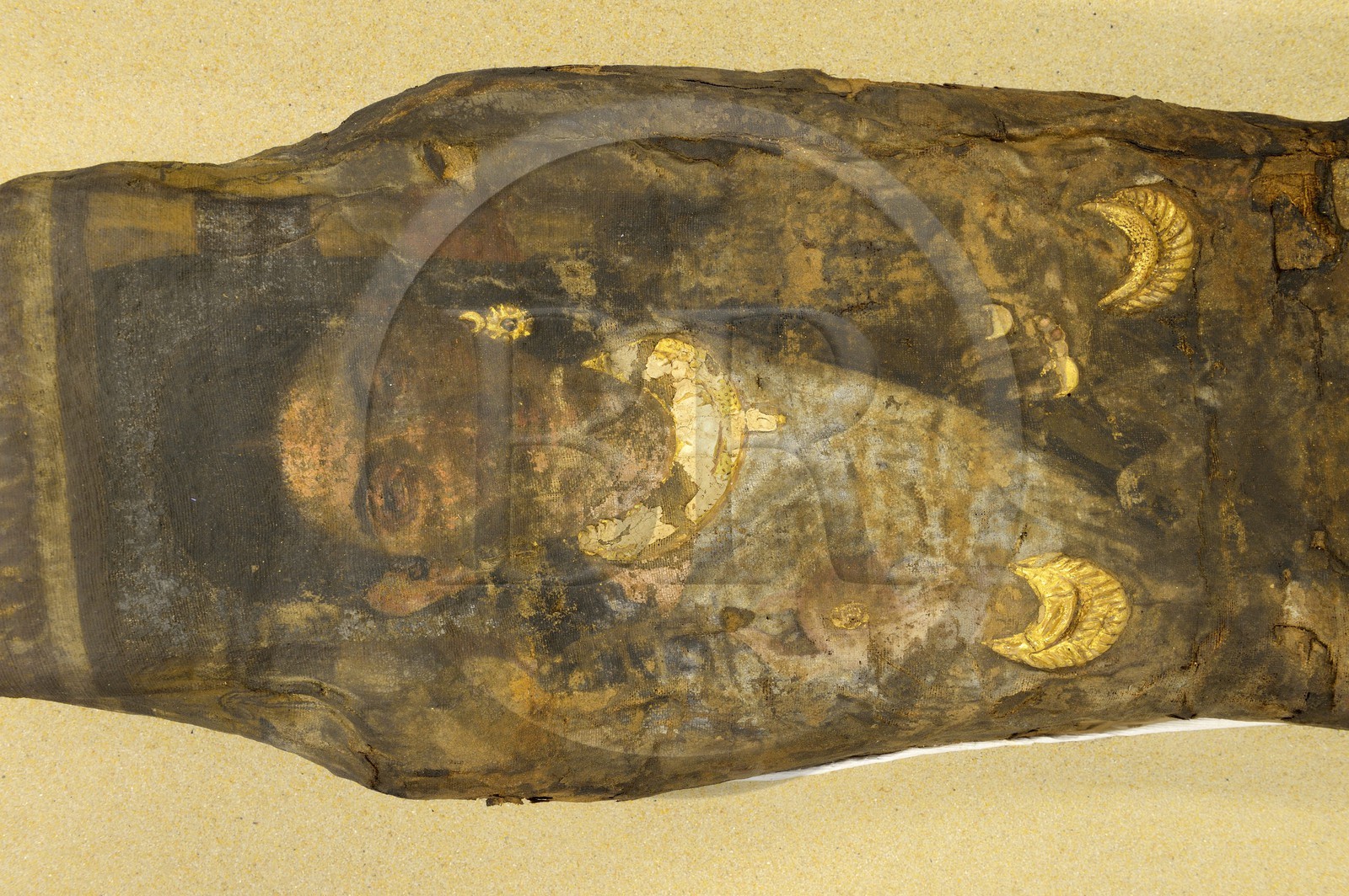 France, Ille-et-Vilaine (35), Rennes, musée des beaux-arts (MBAR), antiquités egyptiennes, la Dame d'Antinoé, momie de femme du troisième à quatrième siècle