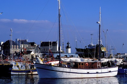 France, Finistère (29), retour au quai dans le port du Guilvinec