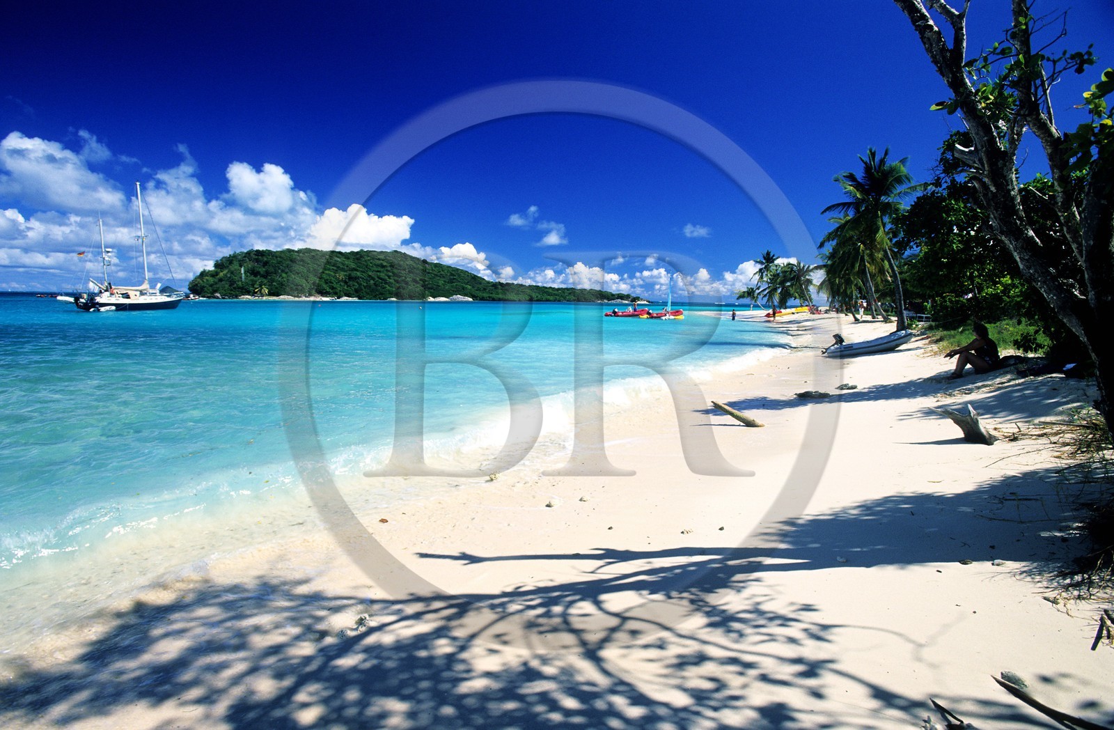 Caraïbes, Saint-Vincent et les Grenadines, archipel des Tobago Cays, plage d'une petite île inhabitée