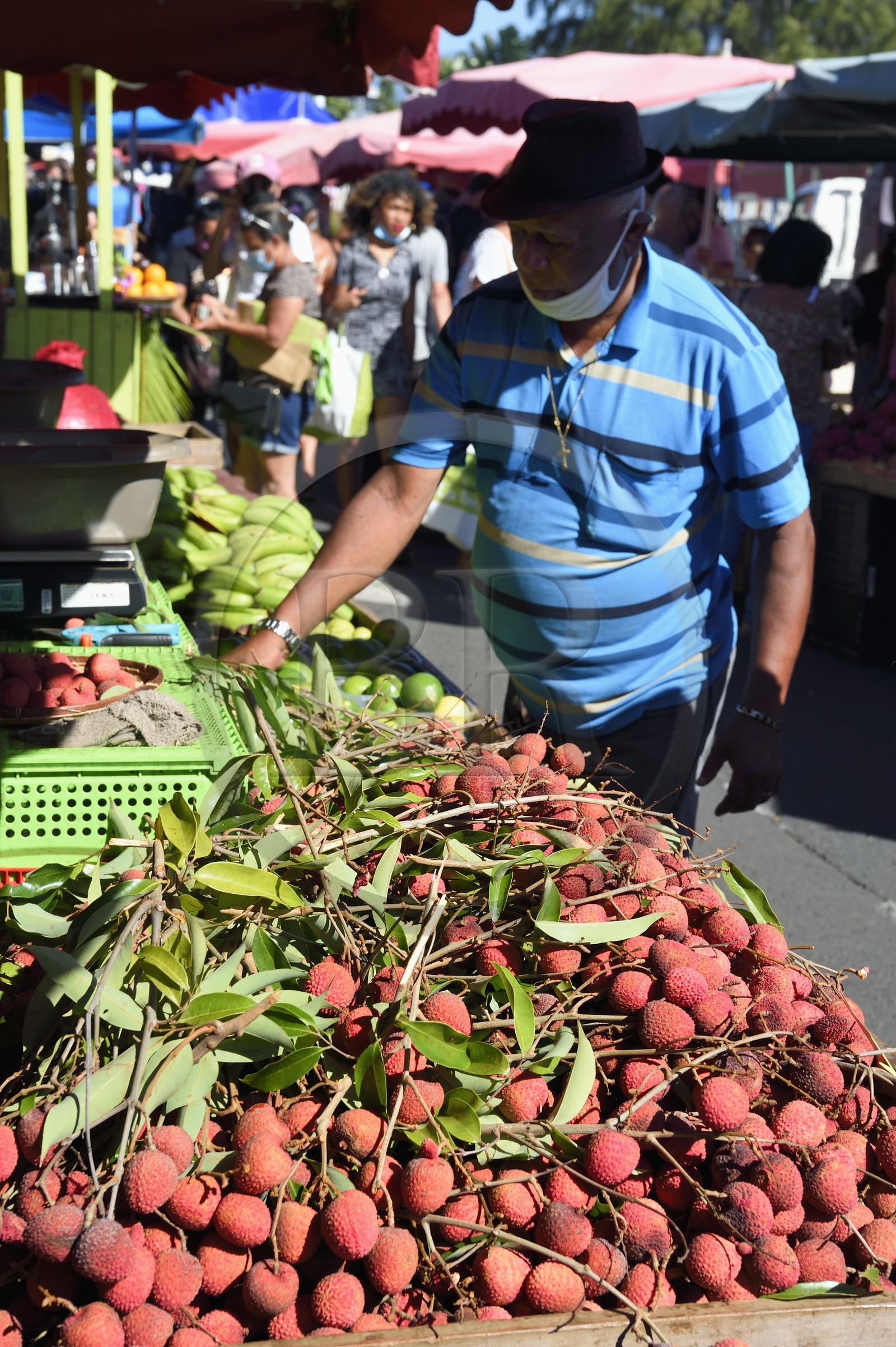 France, Ile de la Reunion, Saint-Pierre, le marché du samedi, les étals de fruits litchi