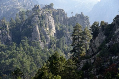 France, Haute Corse, Corte, Restonica valley