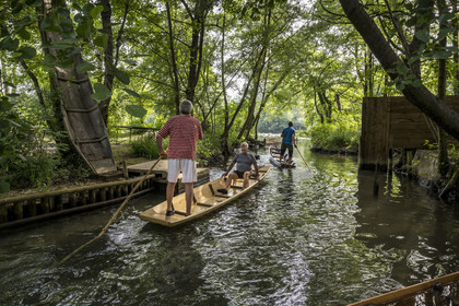 France, Vaucluse, L'Isle sur la Sorgue, the cabanon des Fontanelles on an islet of the Sorgue river, summer meeting place of the brotherhood of fishermen on flat-bottomed boats called Nègo Chin, the Pescaïres de la Sorgue