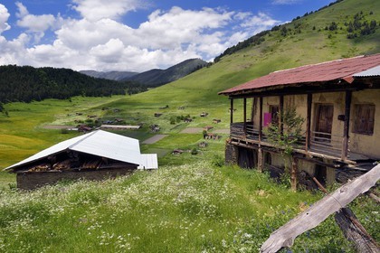 Georgia, Kakheti, Tusheti National Park, village of Shenako