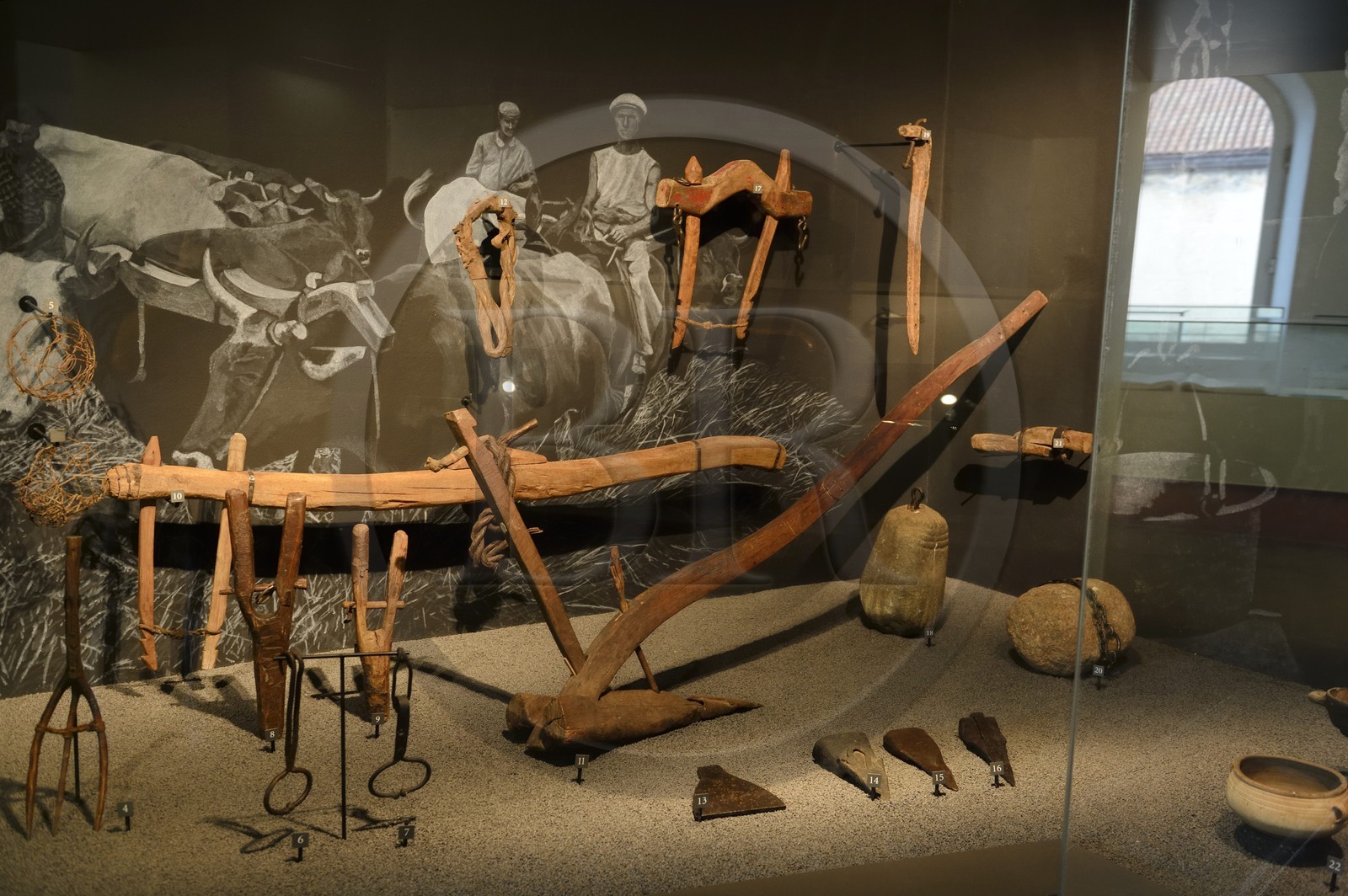 France, Haute Corse, Corte, Museum of Corsica, Hall of Heritage, representation of agrarian objects