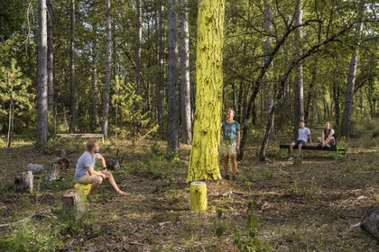 France, Var (83), Provence Verte, Bras, Académie du Bain de Forêt Provençale, forêt du domaine Le Peyrourier - une campagne en Provence